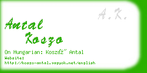 antal koszo business card